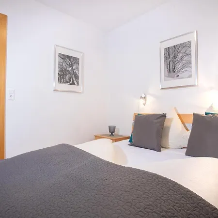 Apart Otel Zillertal Fügen